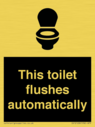 this-toilet-flushes-automatically~